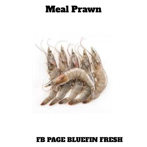 Five fresh meal prawns with shells and antennae on white background, seafood for sale