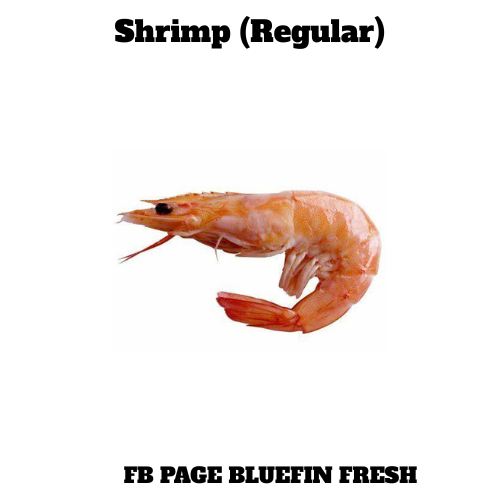 Close-up of a cooked regular shrimp with orange-pink shell on a white background