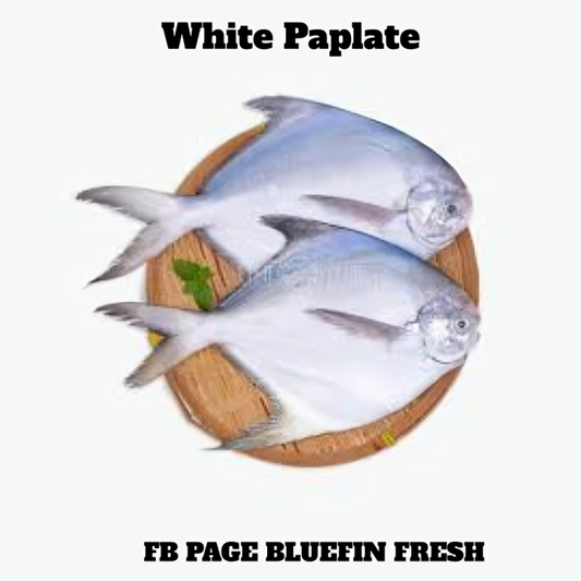 Two fresh white paplate fish on a round wooden cutting board with a sprig of green herb