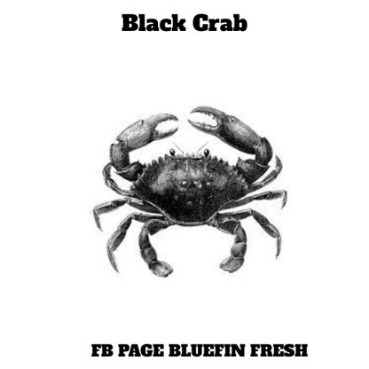 Detailed black crab illustration with raised claws on white background