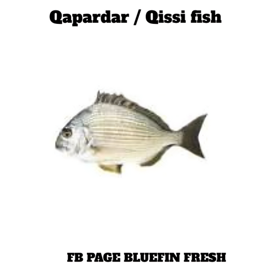 Qapardar or Qissi fish on a white background, fresh seafood image for Bluefin Fresh Facebook page
